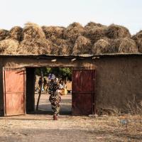 Resistance to Slavery in Western Mali 